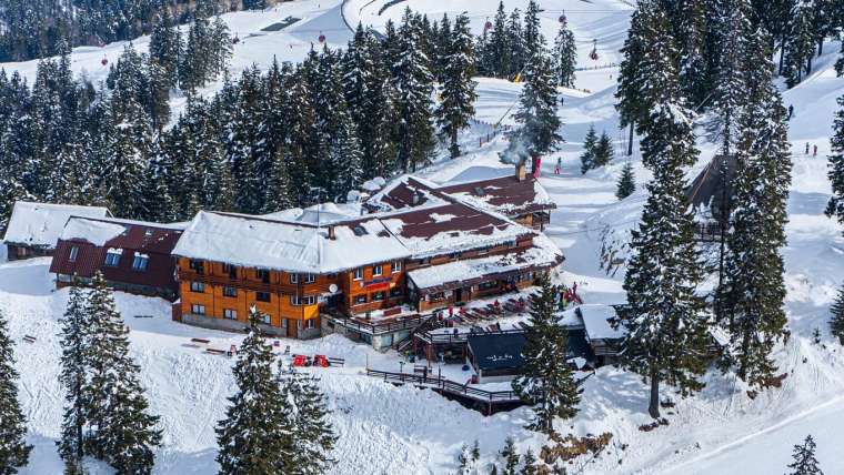 21-22 Februarie | Cabana Postăvarul (Poiana Brașov)